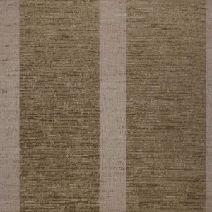 Sr13110 Conway Stripe Lichen