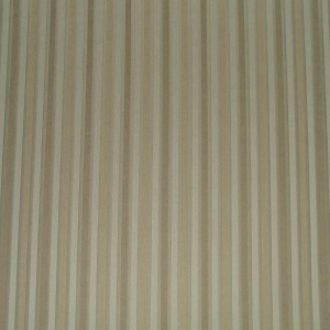 Sr12365 Flatweave Candy Stripe Duck Egg