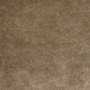 Sr18053 Pastiche Plain Lichen